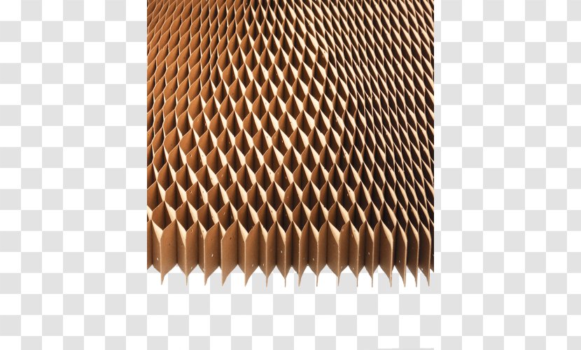 Paper Bee Material Honeycomb Cardboard - Nest Transparent PNG