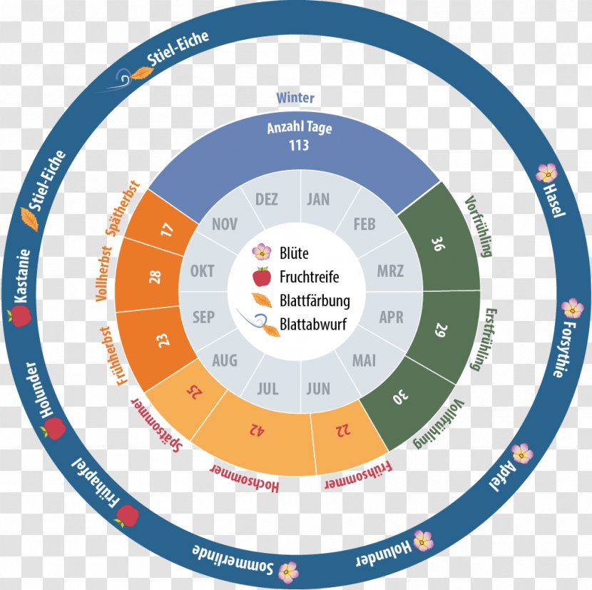 Phenology Bee Season Organization Text - Astronomy - Tuiles Aux Amandes Transparent PNG