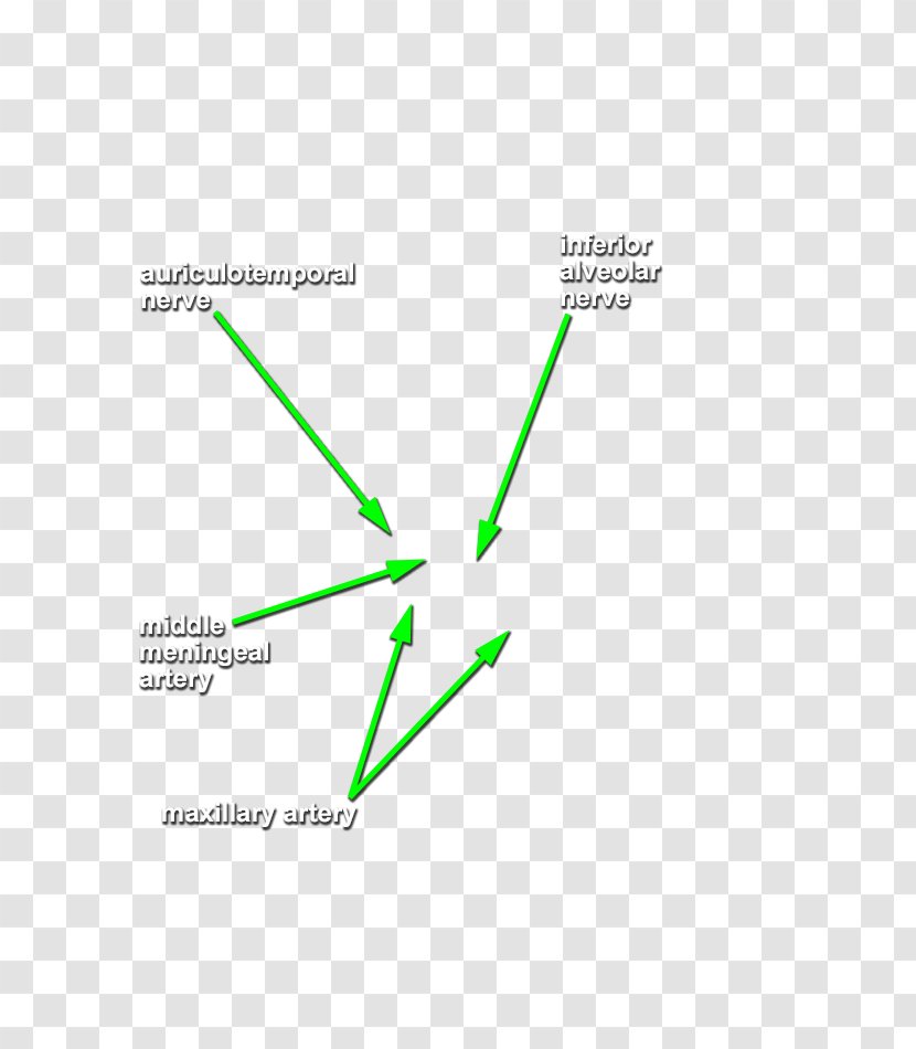 Green Line Product Design Angle Diagram Transparent PNG