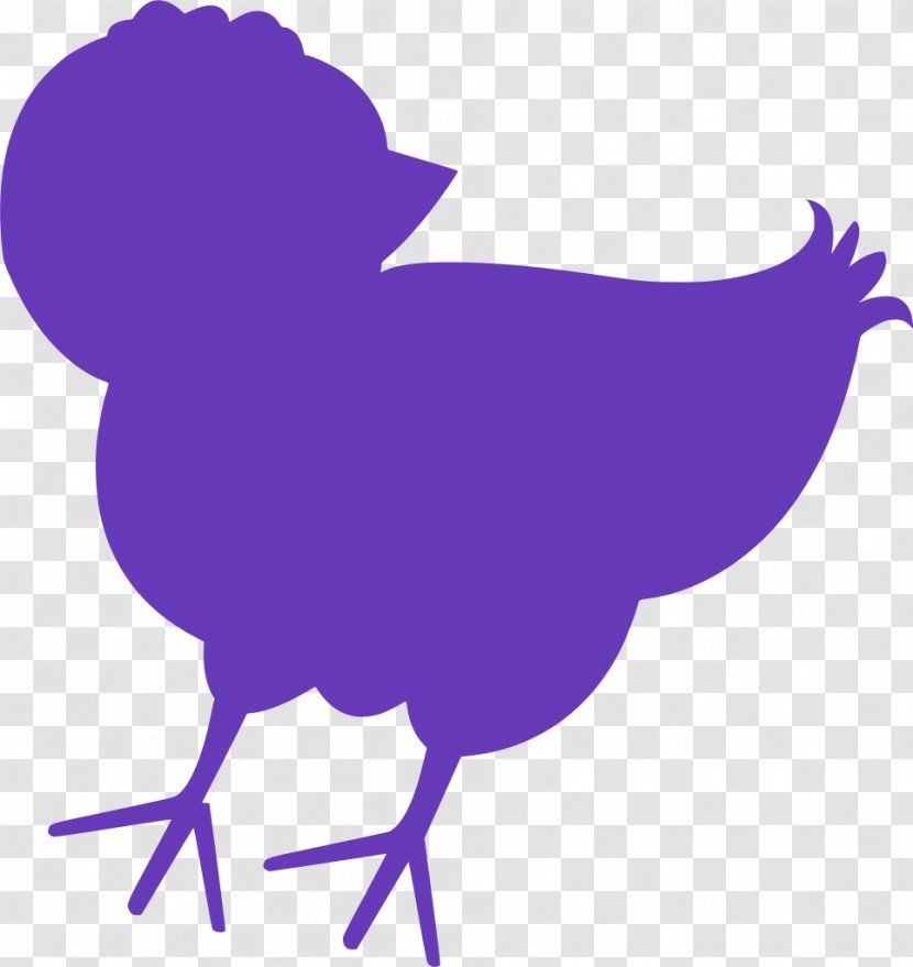 Bird - Violet - Fowl Livestock Transparent PNG