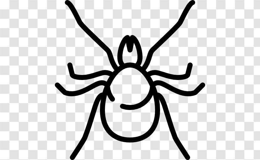 Insect Acari Mite Animal - Symbol Transparent PNG