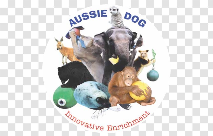 Behavioral Enrichment Animal Australian Shepherd Zookeeper - Zoo - Zoozoo Transparent PNG