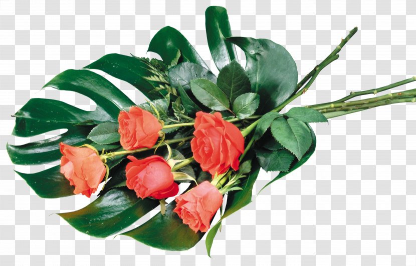 UXGA Rose Desktop Wallpaper 1080p Flower - Cut Flowers Transparent PNG