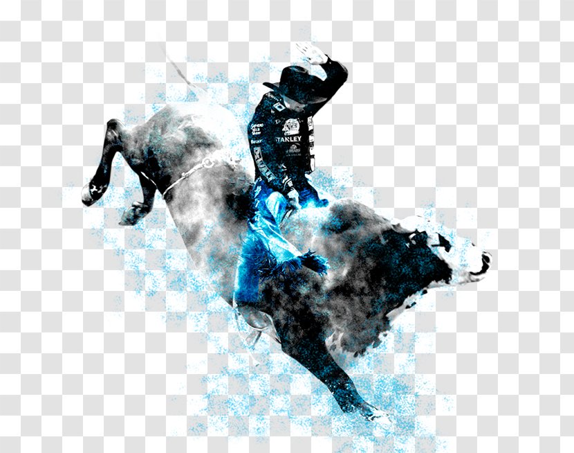 Horse Dry Suit Water Desktop Wallpaper Extreme Sport - Rodeo Cowboy Transparent PNG