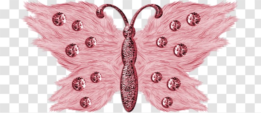 Butterfly Moth Crystal Quartz Symmetry - Invertebrate Transparent PNG