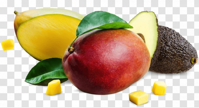 Fruit Mango Food Stock Photography Avocado - Vegetable Transparent PNG