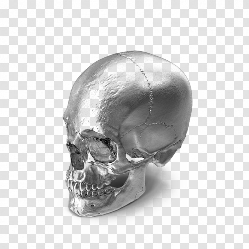 Skull Bone - Browser Extension - Chrome Model Transparent PNG