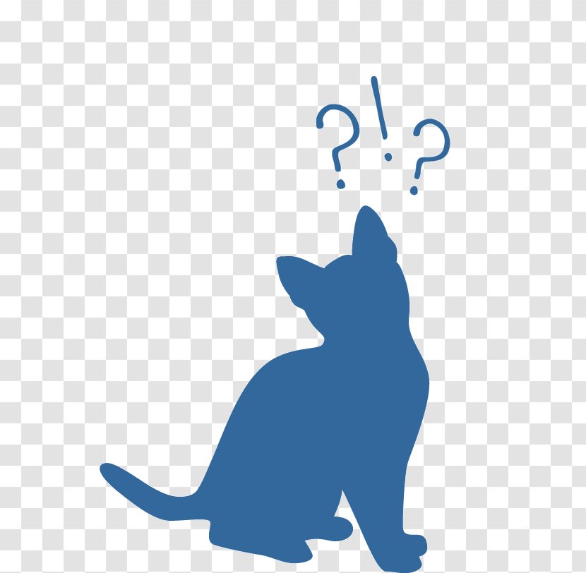 Whiskers Cat Blog Veterinarian Dog - Mammal Transparent PNG