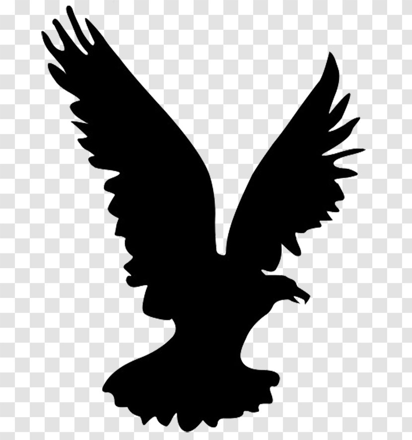Bald Eagle Bird Silhouette Clip Art - Wing - Cliparts Transparent PNG