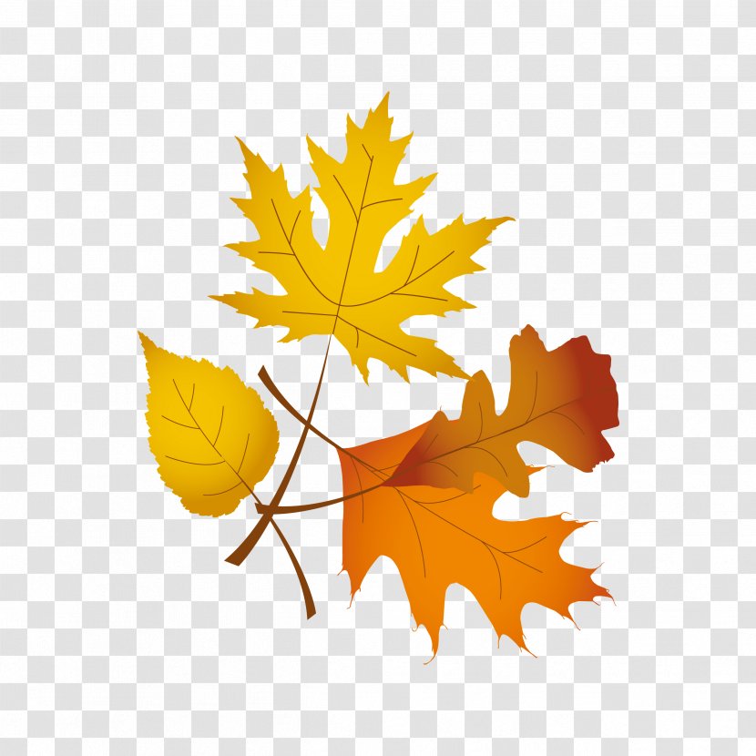 Thanksgiving Symbol Clip Art - Shutterstock - Leaves Transparent PNG