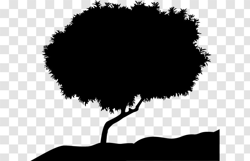 Vector Tree Silhouette - Illustration - Writer Transparent PNG
