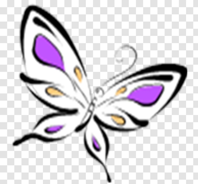 Drawing Butterfly Clip Art - Brush Footed Transparent PNG