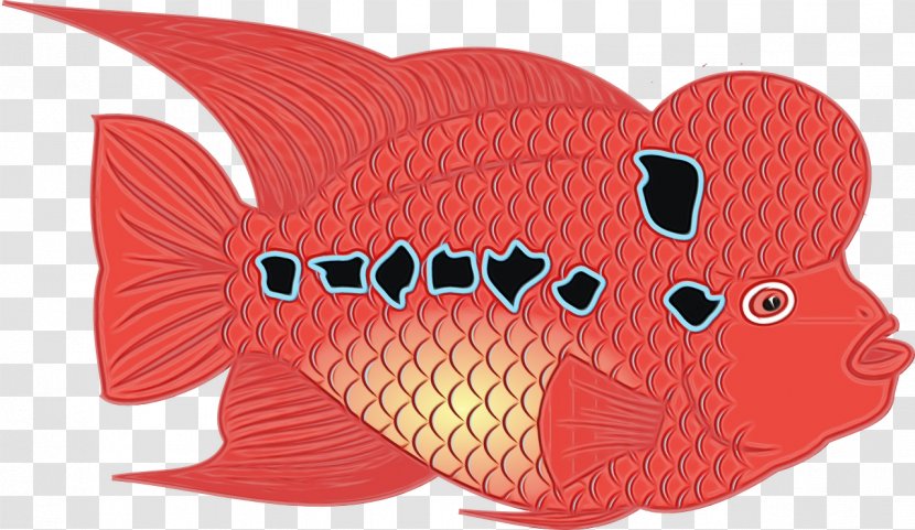 Fish Red Pink Snapper - Paint - Fin Transparent PNG