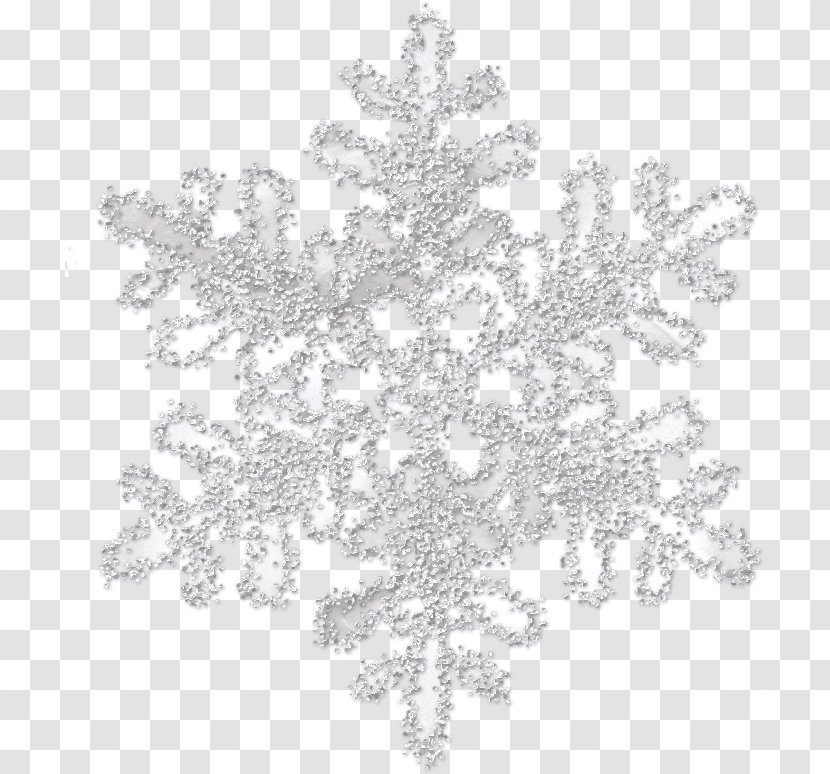 Snowflake Icon - Postscript - Image Transparent PNG