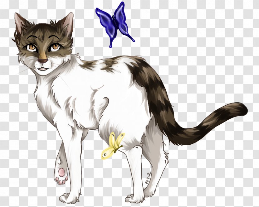Kitten Whiskers Wildcat Tabby Cat Domestic Short-haired - Vertebrate Transparent PNG
