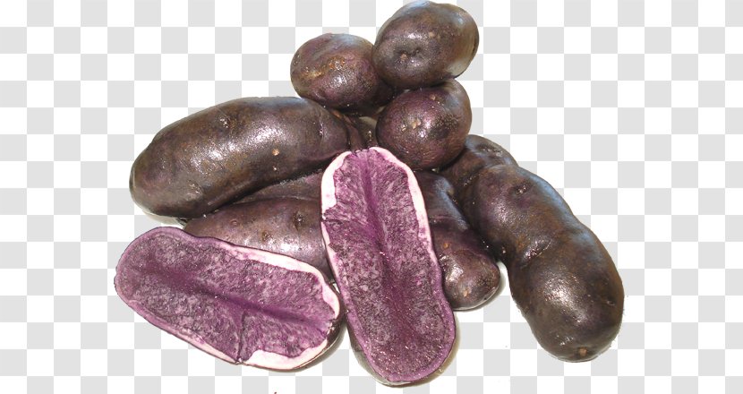 Idaho Potato Commission Sausage Sujuk Tuber - Watercolor Transparent PNG