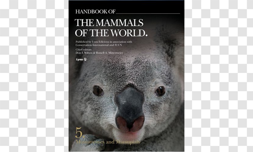 Koala Handbook Of The Mammals World - Mammal - Volume 2 Birds MonotremeKoala Transparent PNG