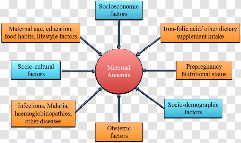 Iron-deficiency Anemia Iron Deficiency Teenage Pregnancy - Etiology Transparent PNG