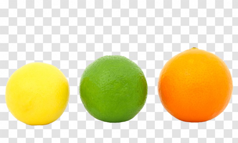 Lemon Juice Lime Orange Fruit - Trifoliate Transparent PNG