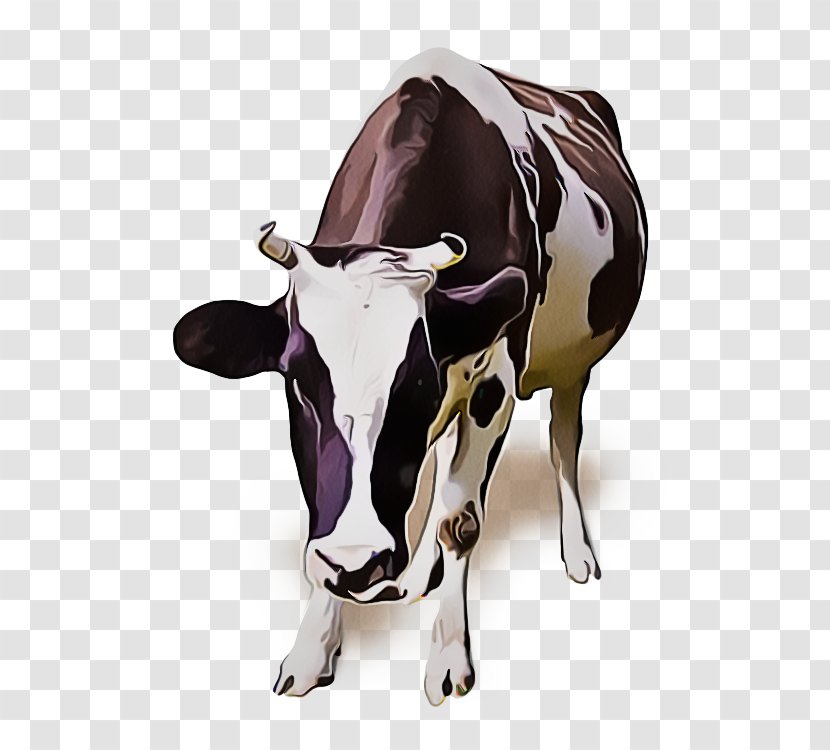 Bovine Dairy Cow Livestock Bull Cow-goat Family - Animal Figure - Cowgoat Transparent PNG