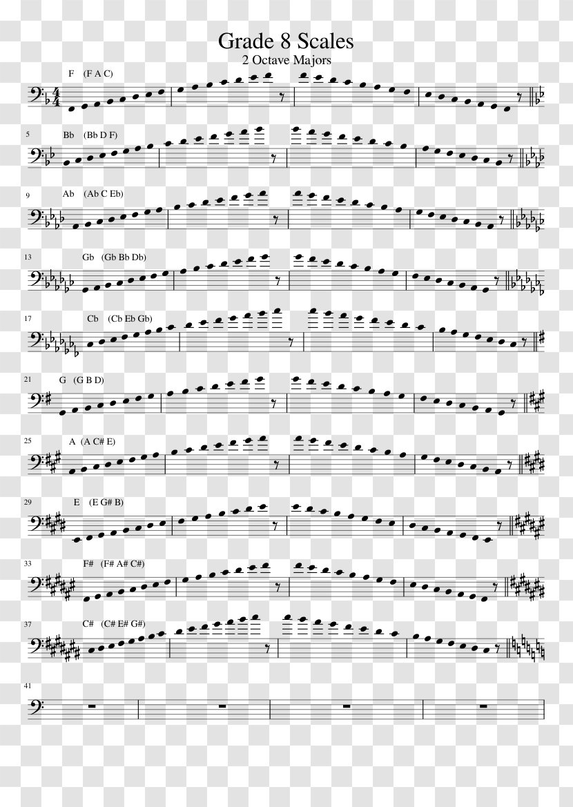 Paper Line Point Angle White - Tree Transparent PNG