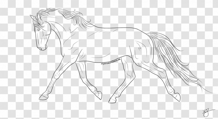 Horse Line Art Pony Drawing Sketch - Like Mammal Transparent PNG