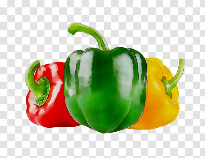 Peppers Berries Fruit Tomato Vegetable - Dried - Peperoncini Transparent PNG