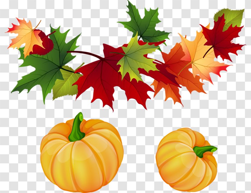 Autumn Leaf Color Clip Art - Winter Squash - Pumpkin Transparent PNG