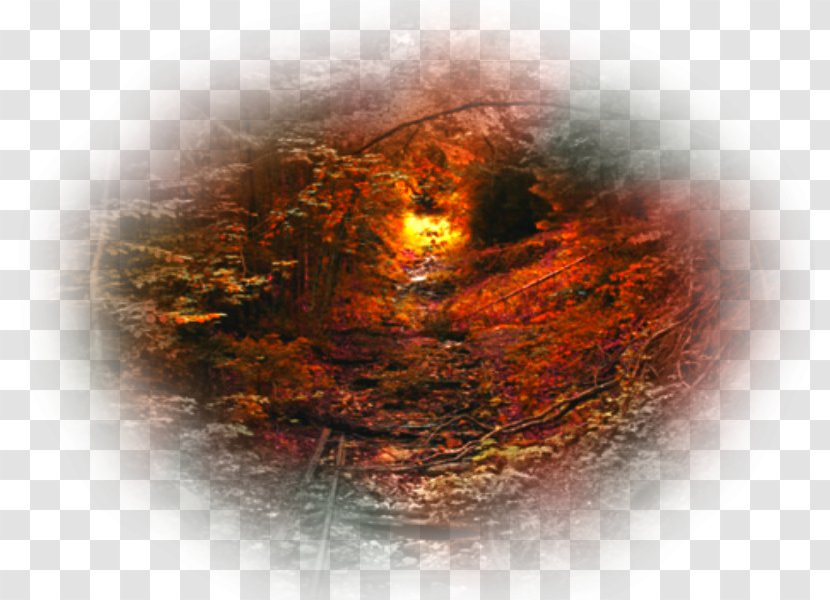 Autumn Desktop Wallpaper Image File Formats Transparent PNG