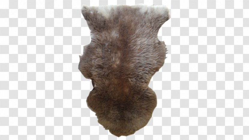 Fur Snout Transparent PNG
