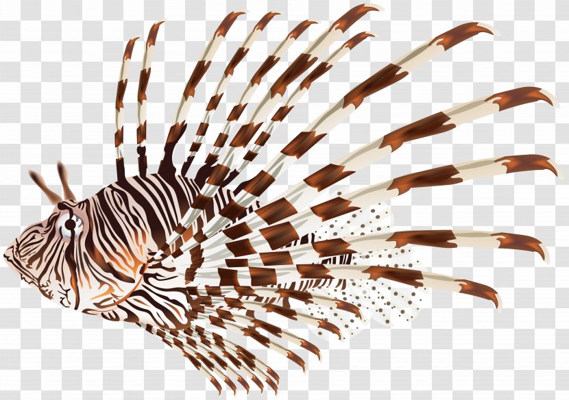 Lionfish Clip Art - Royaltyfree - Ornamental Fish Transparent PNG