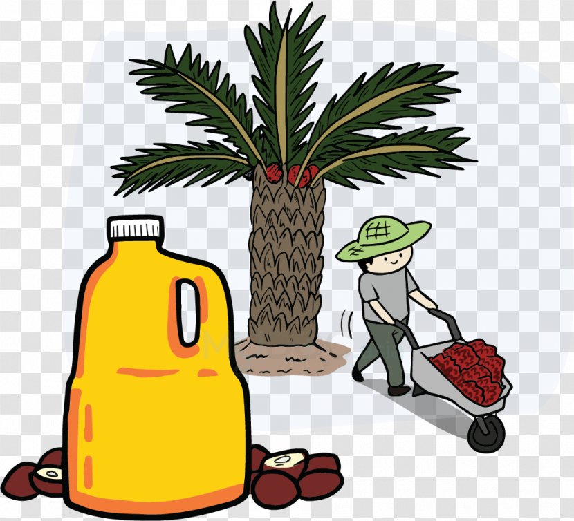 Clip Art Palm Oil Cooking Oils Canola - Sunflower Transparent PNG