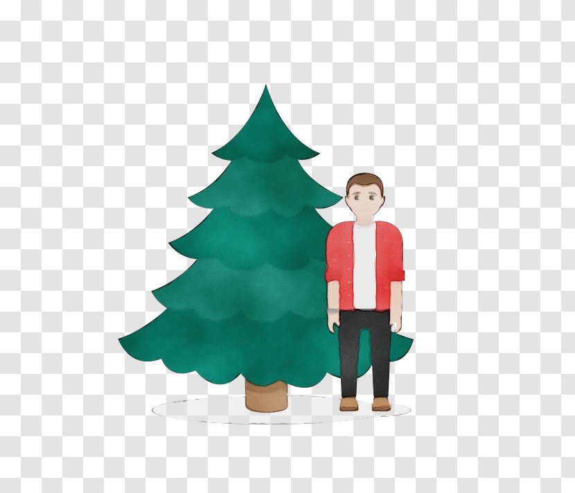 Christmas Tree - Pine - Fir Conifer Transparent PNG