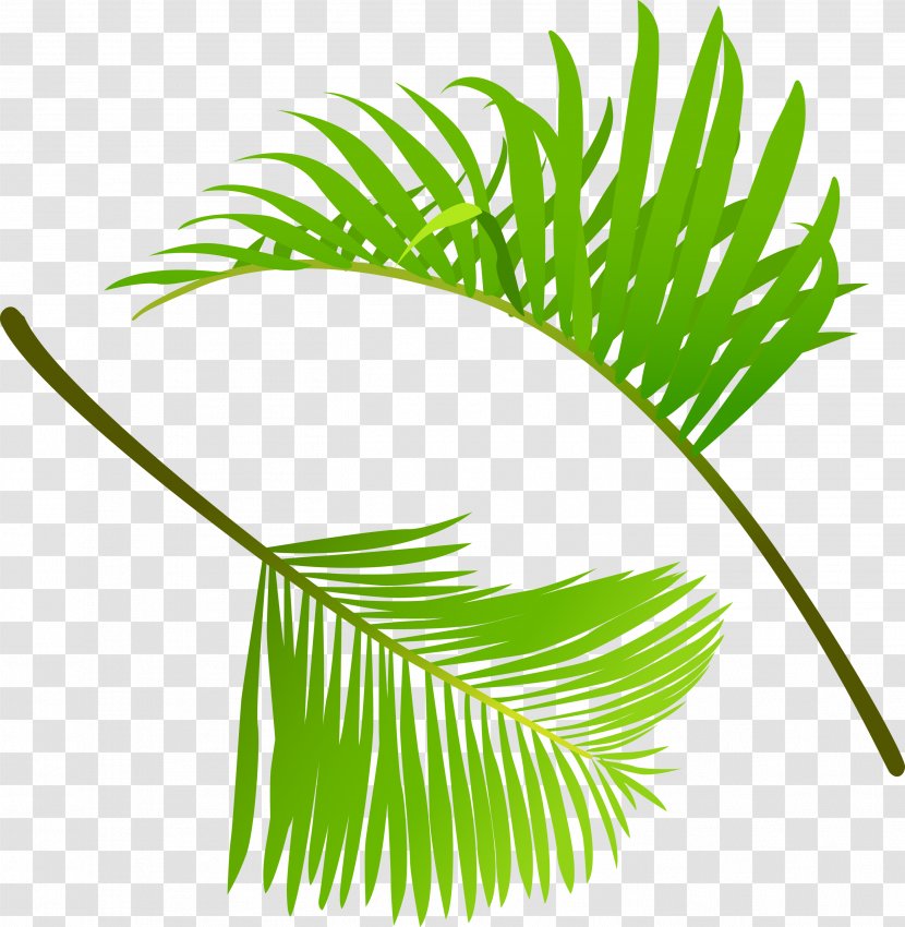 Leaf Clip Art - Grass Family - Green Leaves Transparent PNG