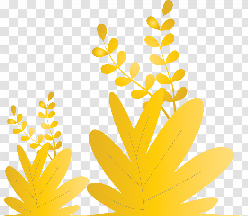 Grass Plant Transparent PNG