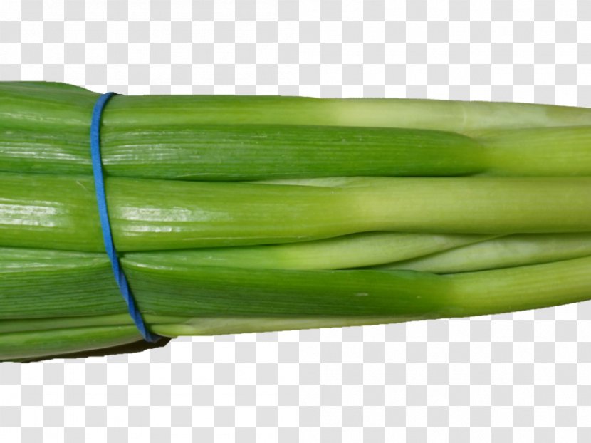 Welsh Onion Leek Scallion Vegetable - Blue Meissen Rich Transparent PNG