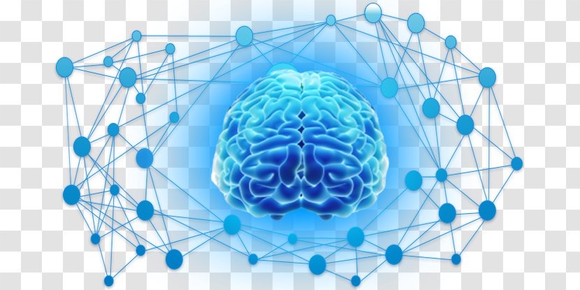 Brain Neocortex Sense - Frame Transparent PNG