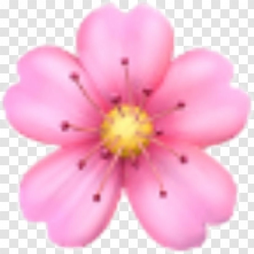 Emoji Domain Flower Sticker - Picsart Photo Studio Transparent PNG