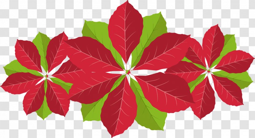 Wedding Invitation Christmas Poinsettia Flower - Ornament Transparent PNG