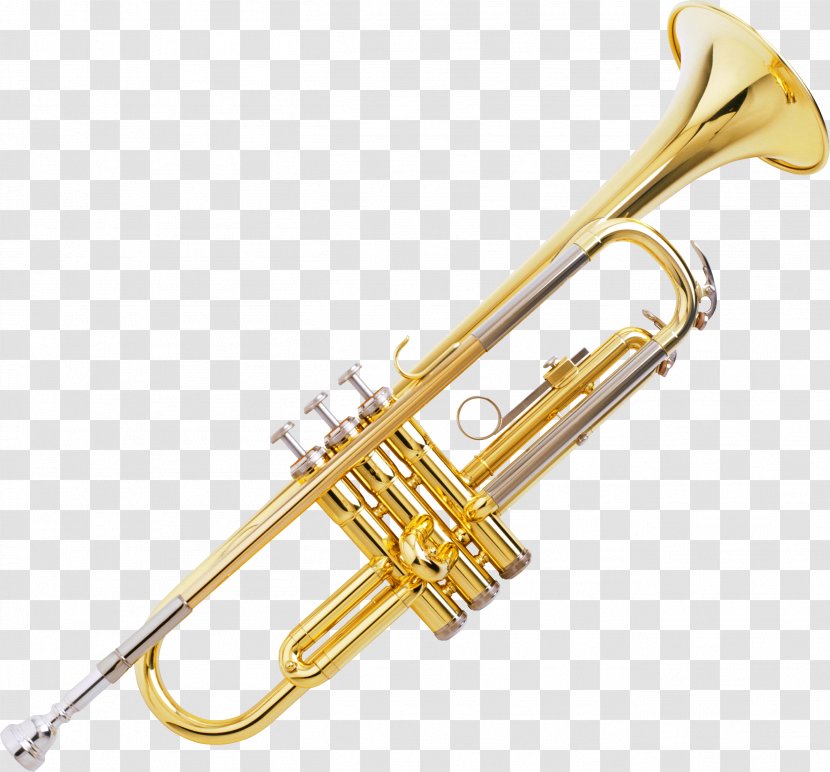 Trumpet Flute Brass Instruments Musical Ensemble - Tree - Trombone Transparent PNG