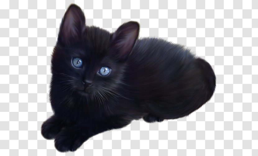 Kitten Maine Coon Black Cat Clip Art - Persian - Attack Transparent PNG