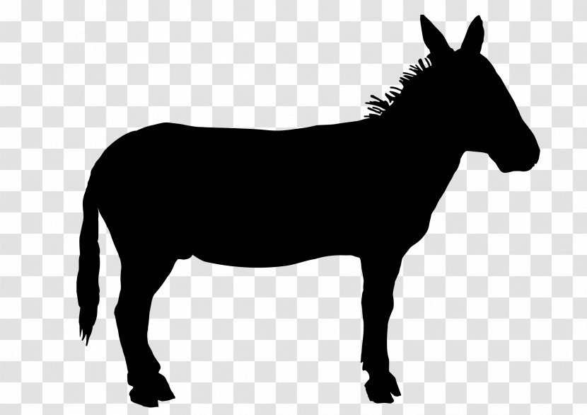 Mule Mustang Stallion Colt Halter - Silhouette Transparent PNG