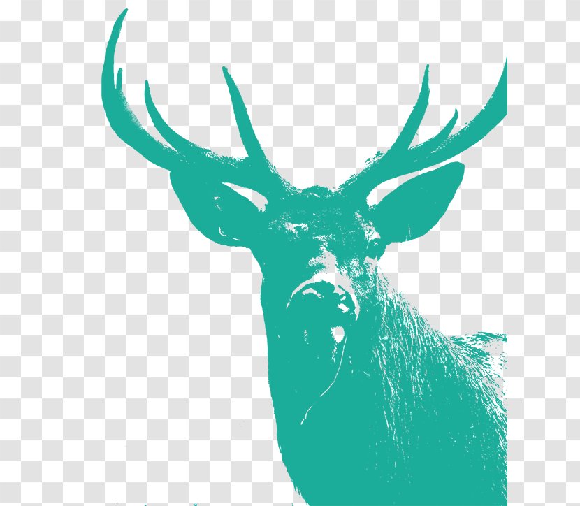 Reindeer Illustration Clip Art Antler Silhouette - Green Transparent PNG