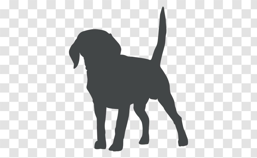 Dog Puppy Pet Veterinarian Transparent PNG