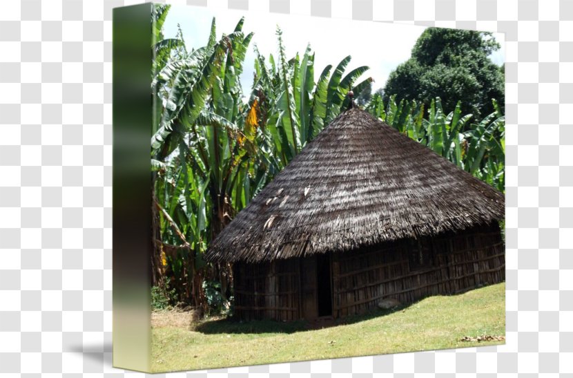 Archaeological Site Roof Crannog Archaeology Shed - Cottage - Hut Drawing Transparent PNG