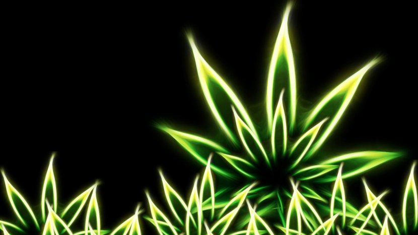Cannabis Smoking 420 Day Wallpaper Transparent PNG