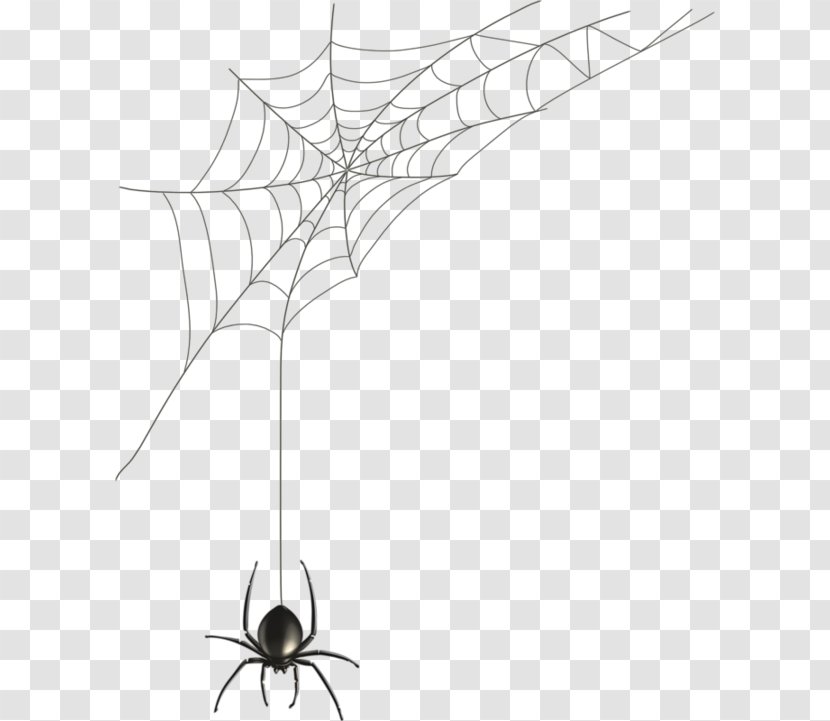 Spider Web Black House Illustration - Hand-painted Transparent PNG
