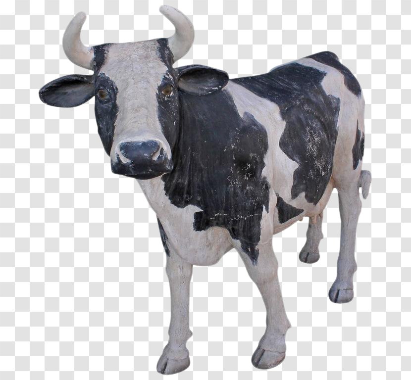 Dairy Cattle Ox Bull Transparent PNG