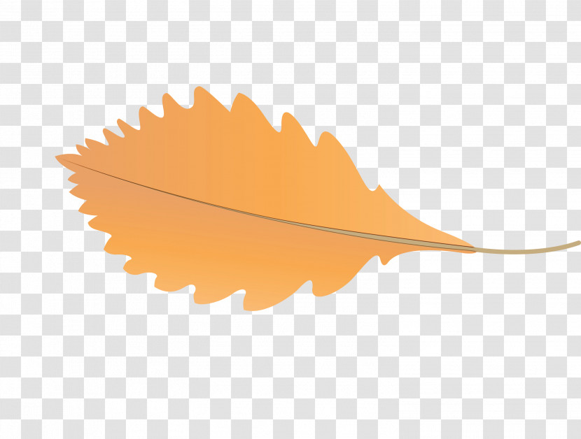 Leaf M-tree Meter Orange S.a. Transparent PNG