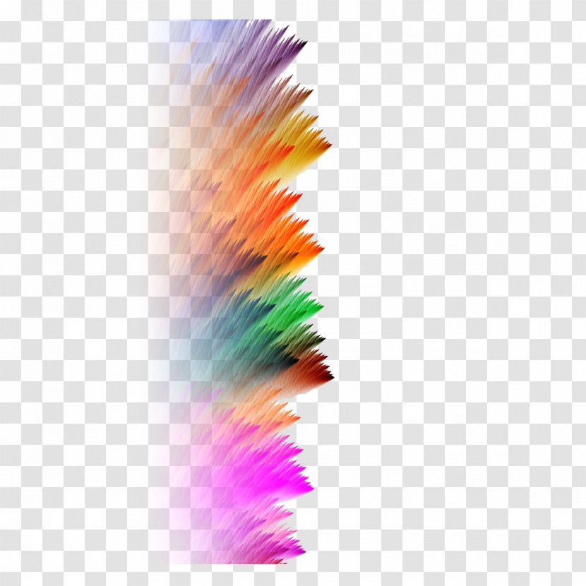 Graphic Design Art - Feather - Colorful Transparent PNG